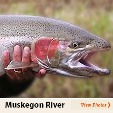 muskegon river michigan photos