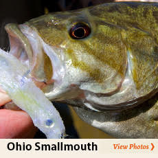 Ohio Smallmouth Photos