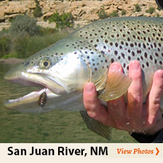 Photos from San Juan River