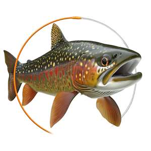 Fly Fishing Leader Materials- Butts and MIds