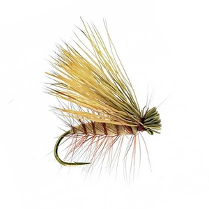 caddisflies fly fishing