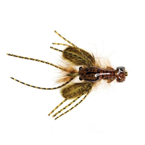 crayfish crawfish flies