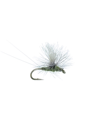 bear's hi-vis parachute olive Hatches 1 - Early Season - Hennys, Sulphurs, BWO