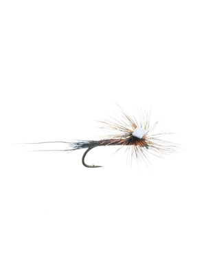 bear's parachute isonychia midseason hatch matching flies