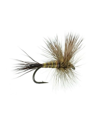 braown drake dun midseason hatch matching flies