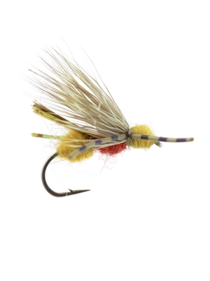 galloup's ant acid cinnamon Flies