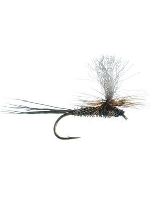 bear's hi-vis borchers Hatches 1 - Early Season - Hennys, Sulphurs, BWO