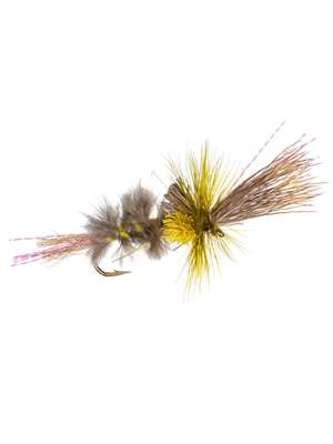 Popcorn Hex Cripple New Flies at Mad River Outfitters