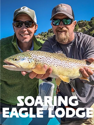 Soaring Eagle Lodge san juan river Fly Fishing Trips