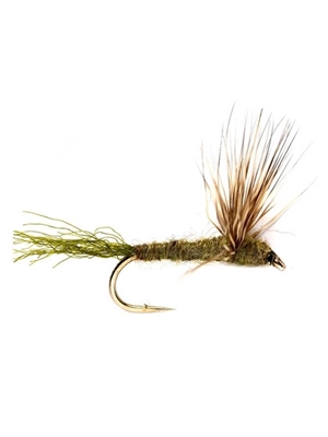 olive sparkle dun Hatches 1 - Early Season - Hennys, Sulphurs, BWO