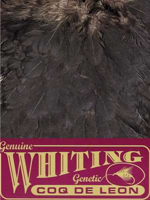 Whiting Farms Coq de Leon Hen Saddle Black available at Mad River Outfitters Whiting Farms Inc.