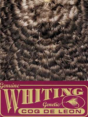 Whiting Farms Coq de Leon Hen Saddle Grizzly available at Mad River Outfitters Whiting Farms Inc.